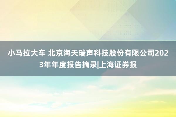 小马拉大车 北京海天瑞声科技股份有限公司2023年年度报告摘录|上海证券报