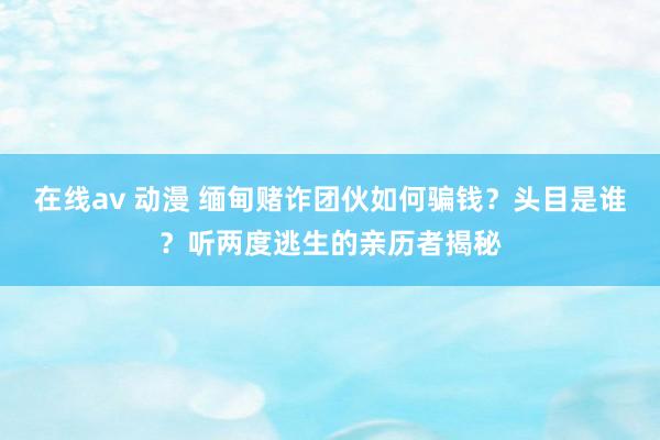 在线av 动漫 缅甸赌诈团伙如何骗钱？头目是谁？听两度逃生的亲历者揭秘