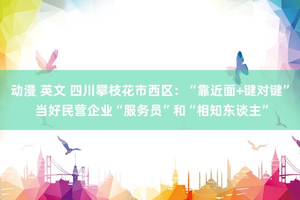 动漫 英文 四川攀枝花市西区：“靠近面+键对键” 当好民营企业“服务员”和“相知东谈主”