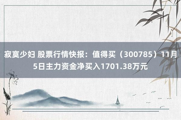 寂寞少妇 股票行情快报：值得买（300785）11月5日主力资金净买入1701.38万元