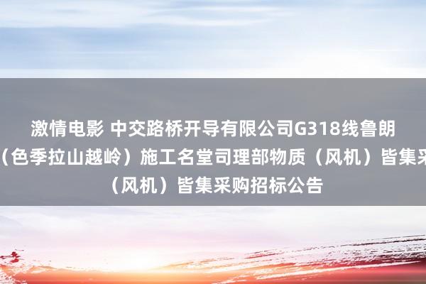 激情电影 中交路桥开导有限公司G318线鲁朗镇至林芝段（色季拉山越岭）施工名堂司理部物质（风机）皆集采购招标公告