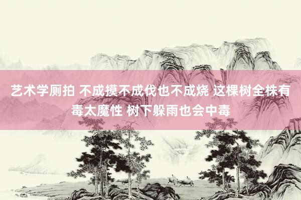 艺术学厕拍 不成摸不成伐也不成烧 这棵树全株有毒太魔性 树下躲雨也会中毒